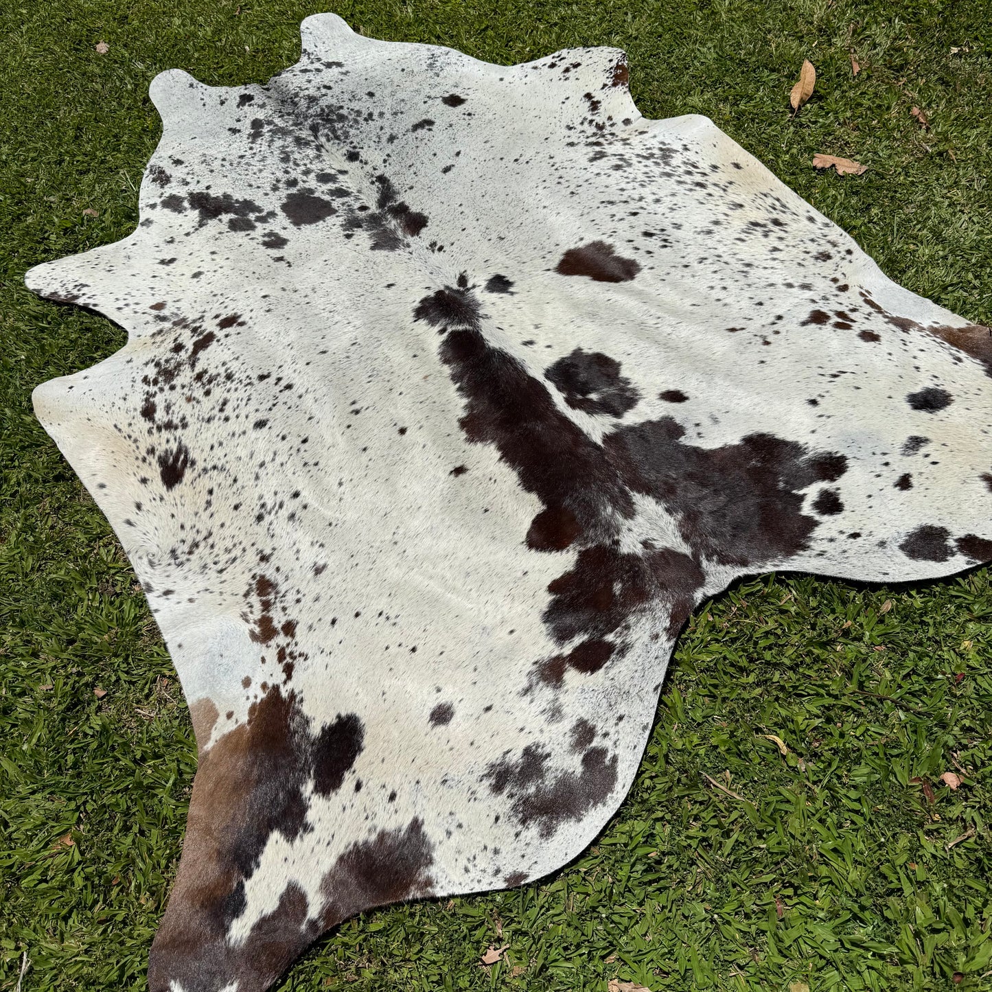 Premium Cowhide Rug 00019
