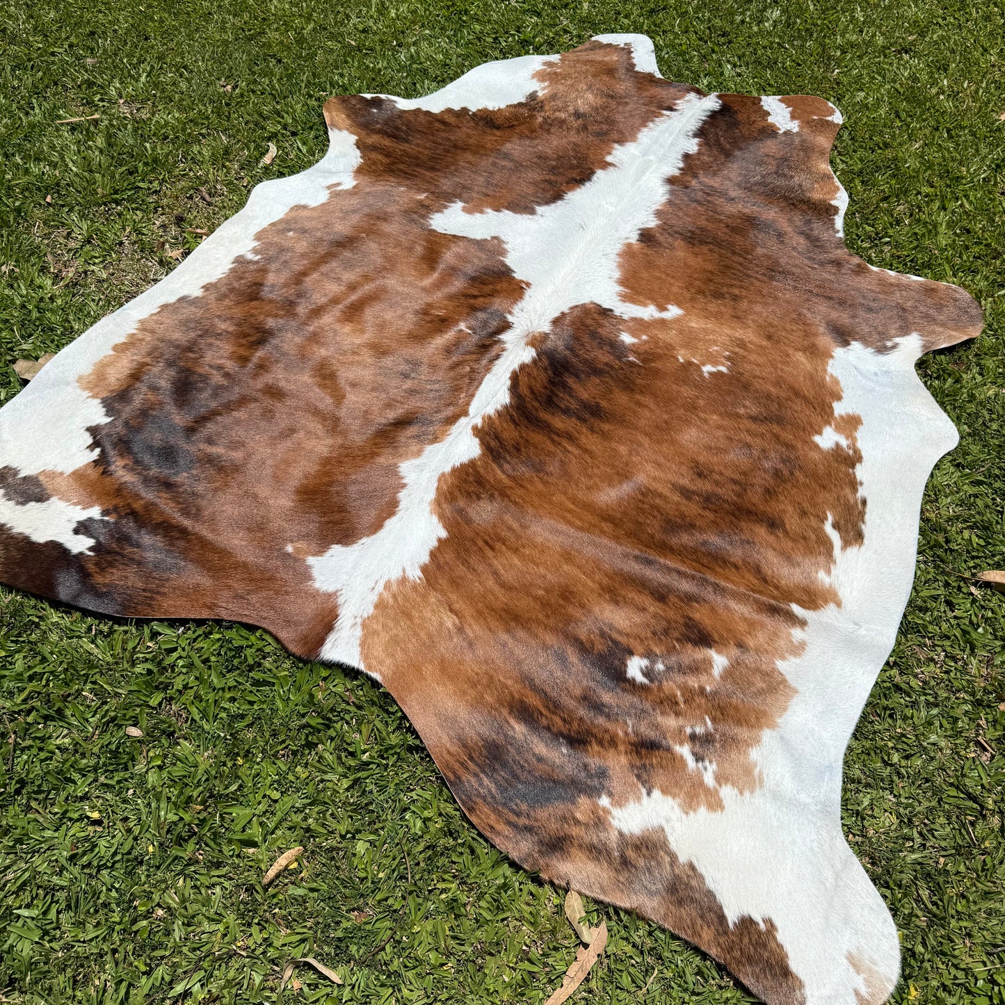 Premium Cowhide Rug 00018