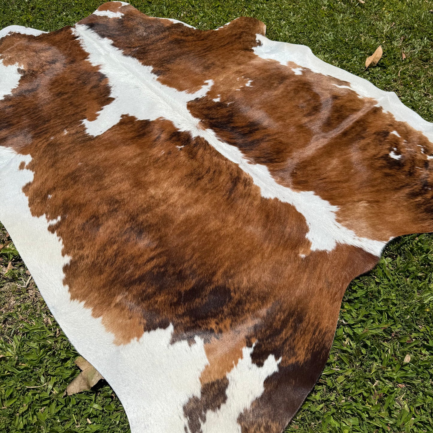 Premium Cowhide Rug 00018