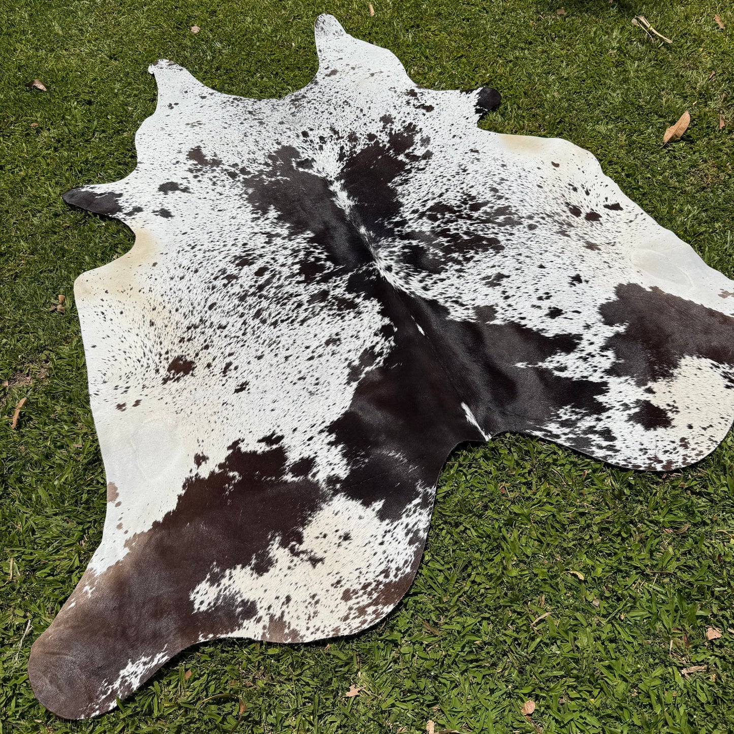 Premium Cowhide Rug 20001