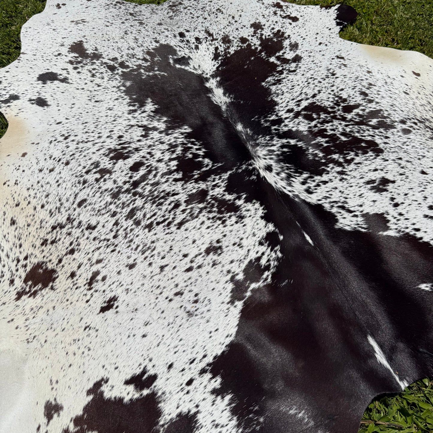 Premium Cowhide Rug 20001