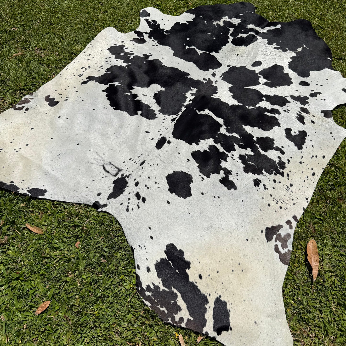 Premium Cowhide Rug 0005
