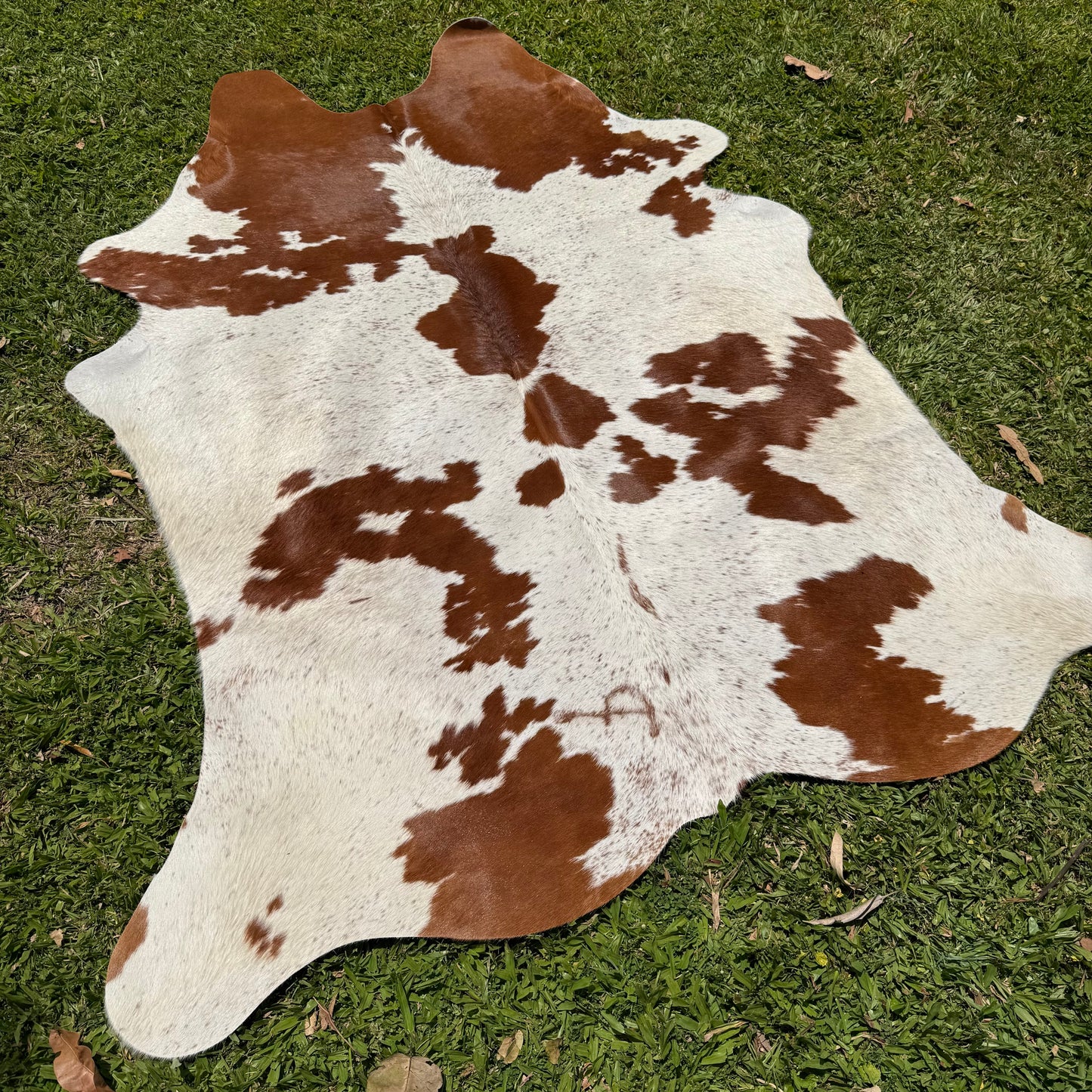 Premium Cowhide Rug 0004