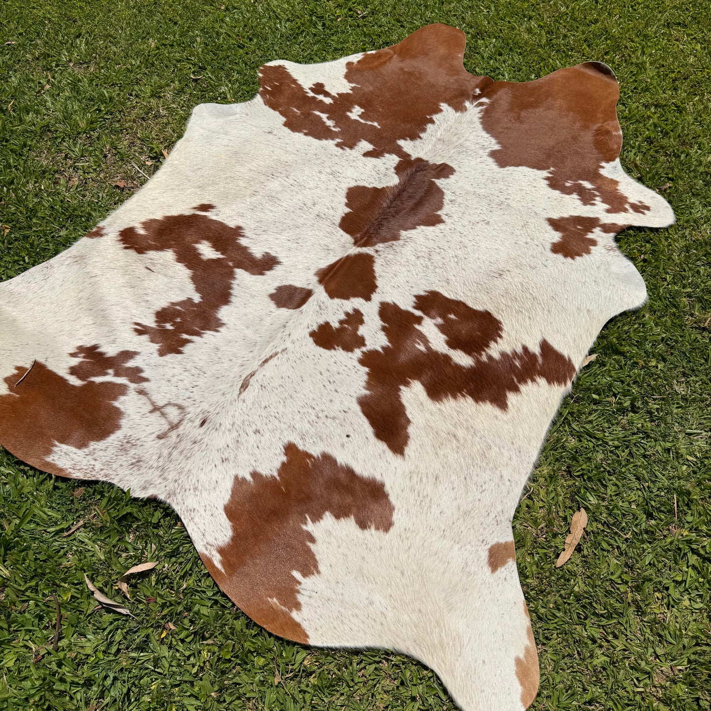 Premium Cowhide Rug 0004