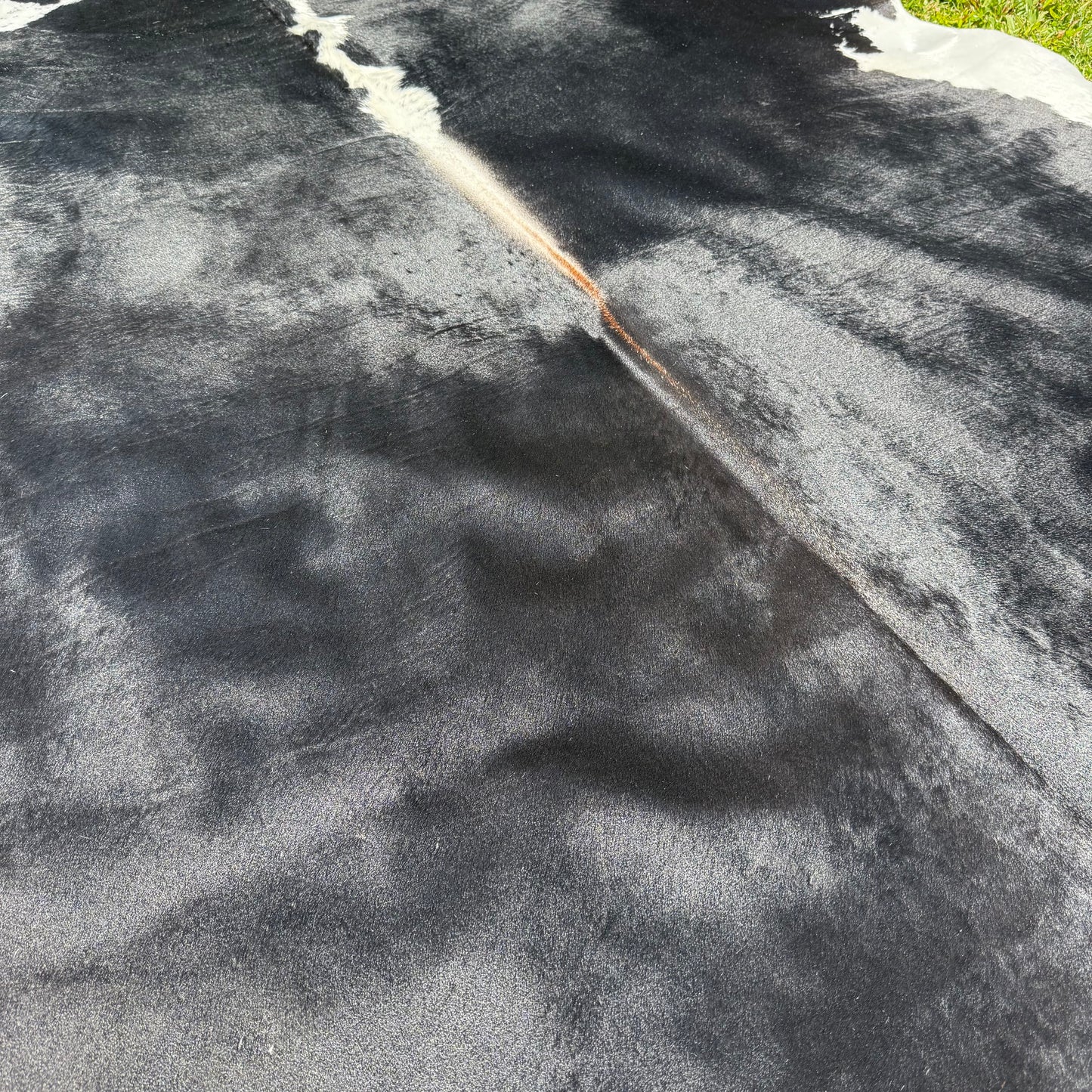 Premium Cowhide Rug 0002