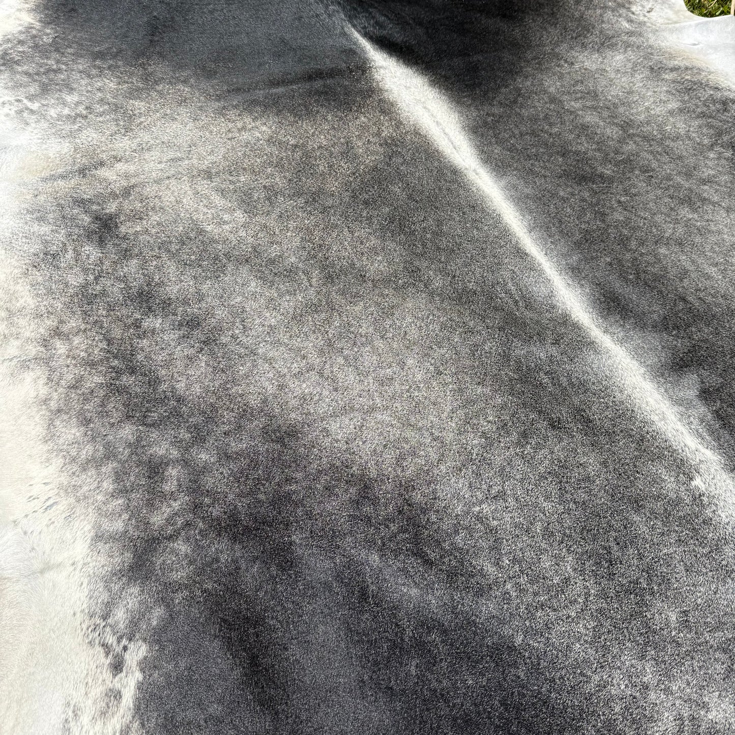 XL Premium Cowhide Rug 00032