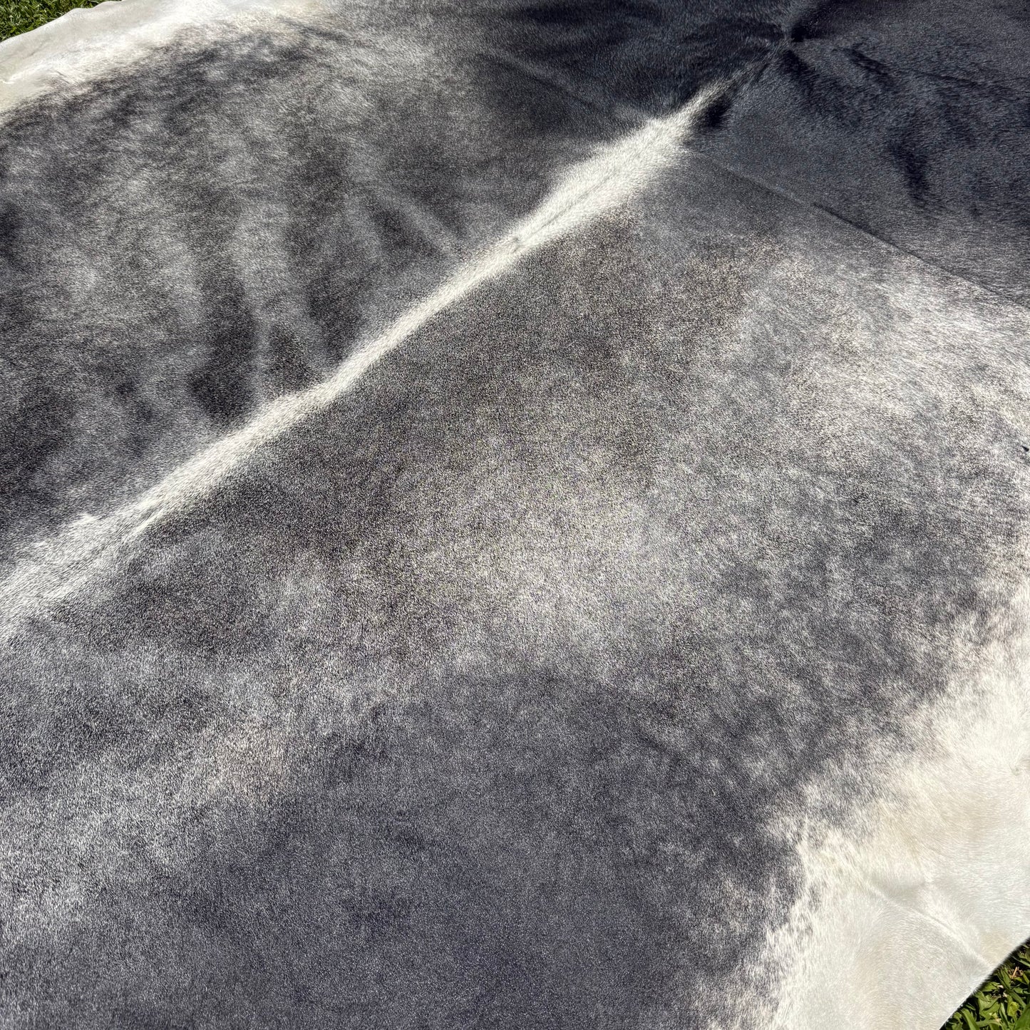 XL Premium Cowhide Rug 00032
