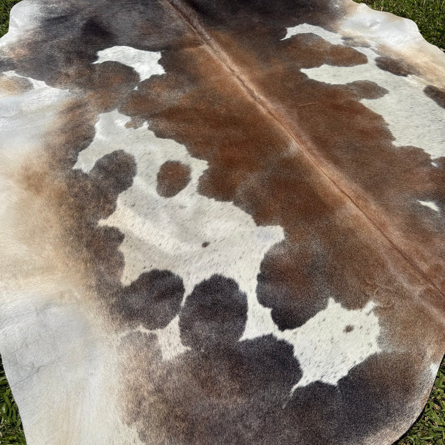 Premium Cowhide Rug 00038