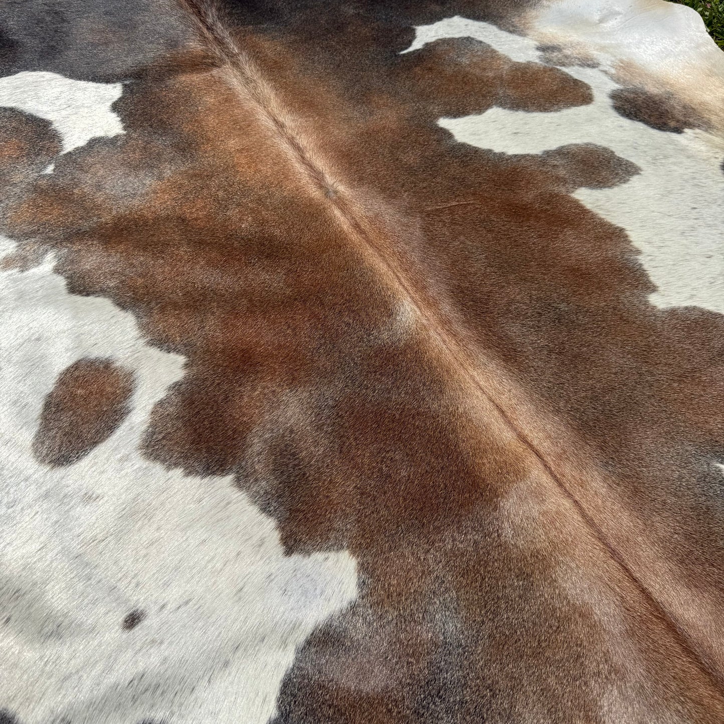 Premium Cowhide Rug 00038