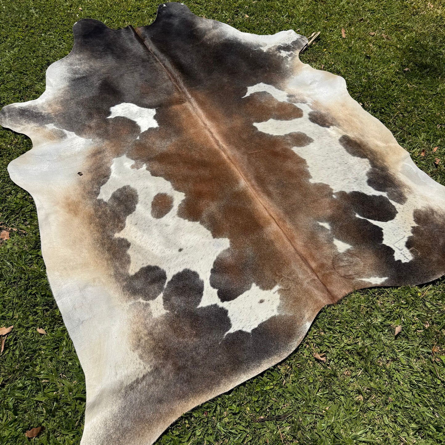 Premium Cowhide Rug 00038