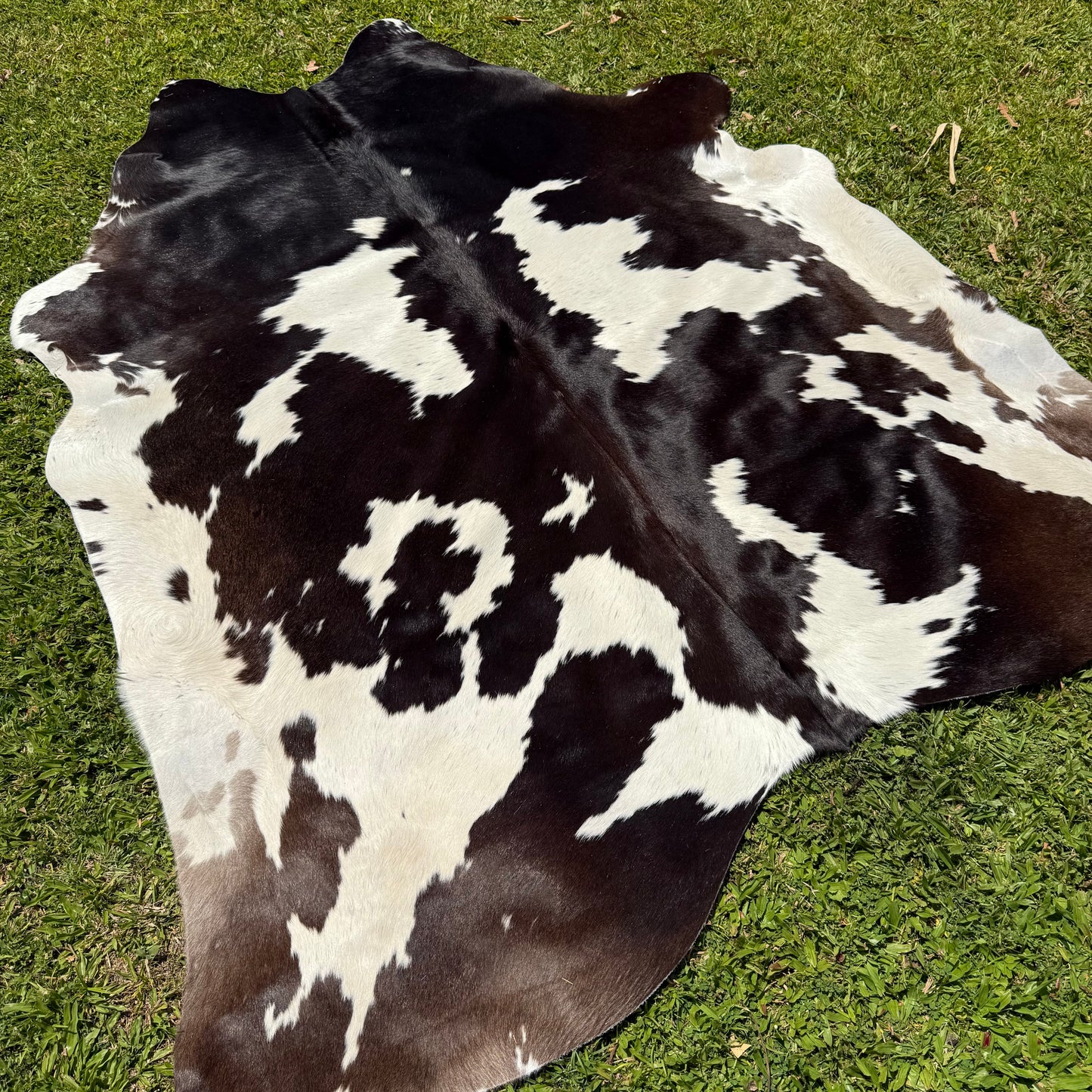 Premium Cowhide Rug 00037