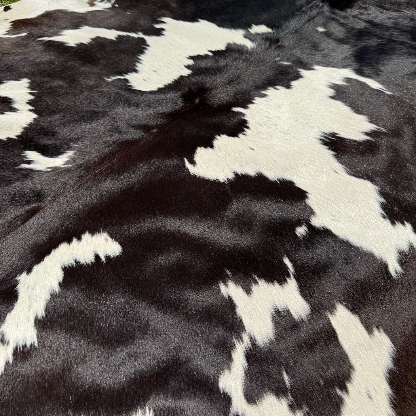Premium Cowhide Rug 00037