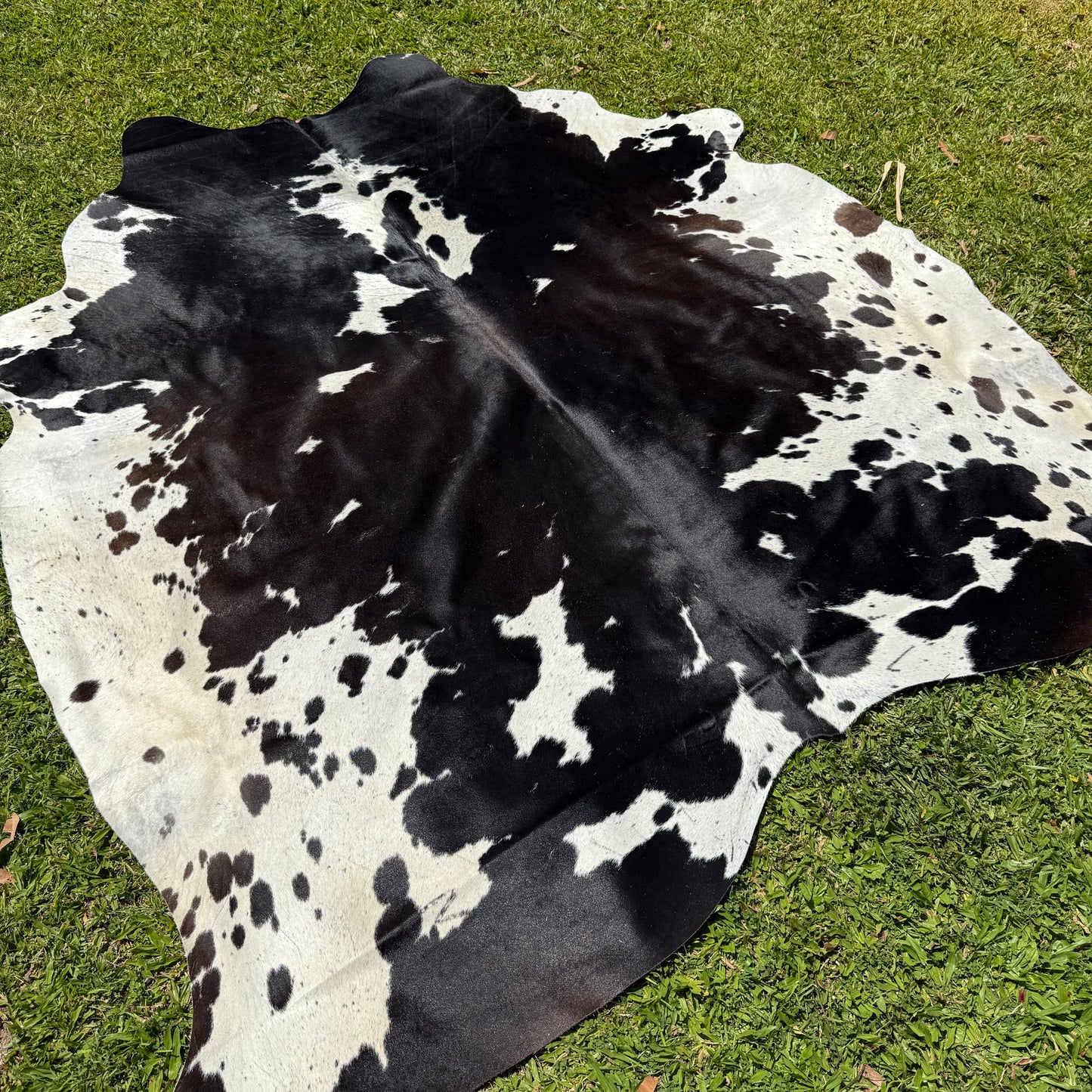 XL Premium Cowhide Rug 00035