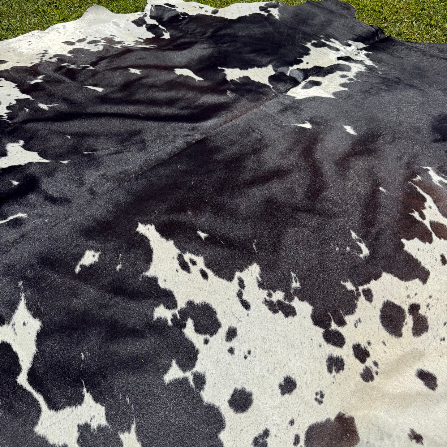 XL Premium Cowhide Rug 00035