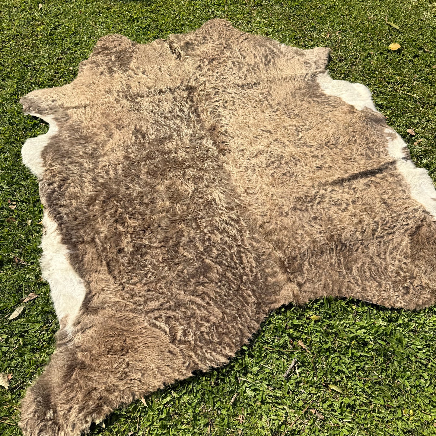 Premium Cowhide Rug 00051