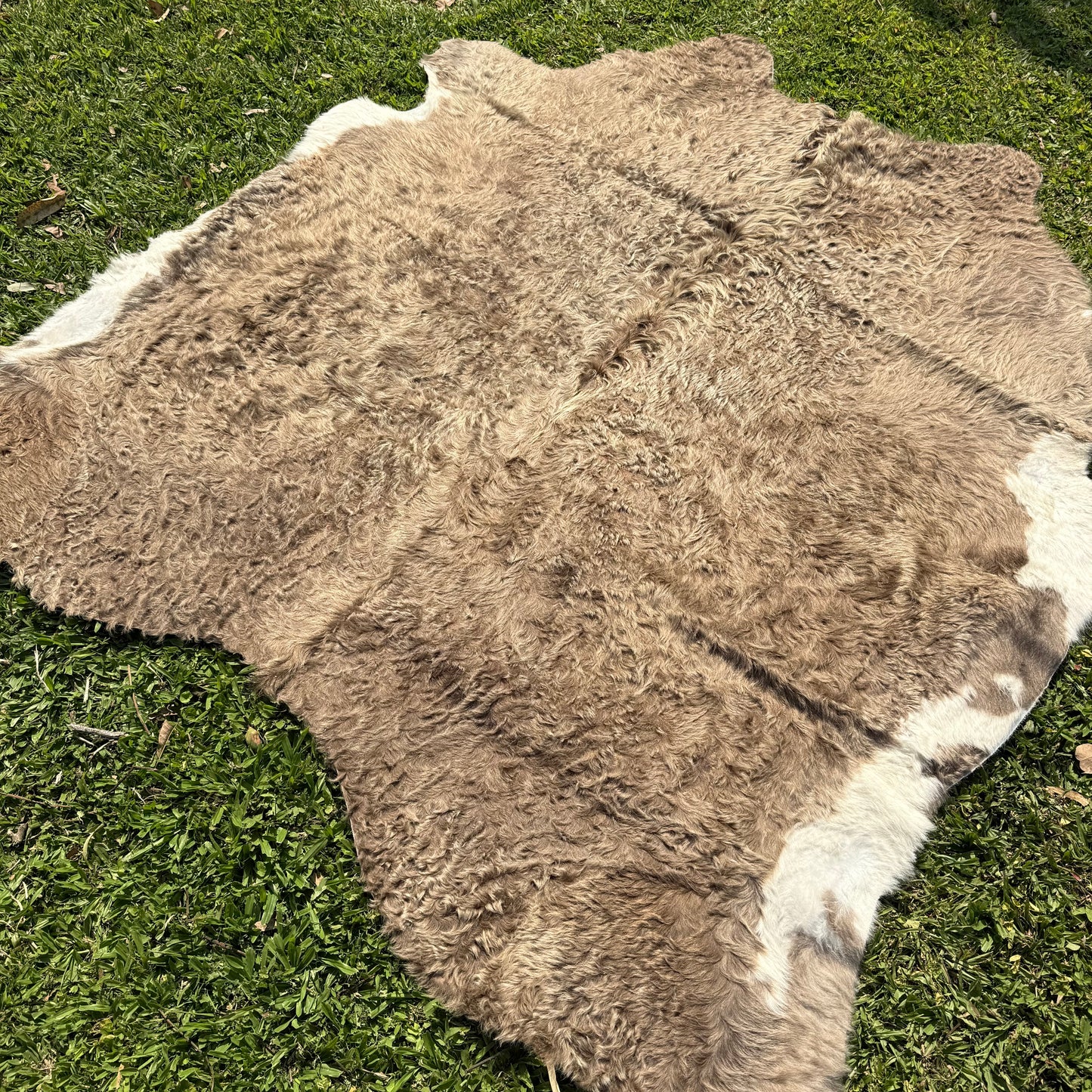 Premium Cowhide Rug 00051