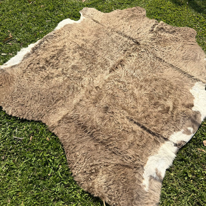 Premium Cowhide Rug 00051