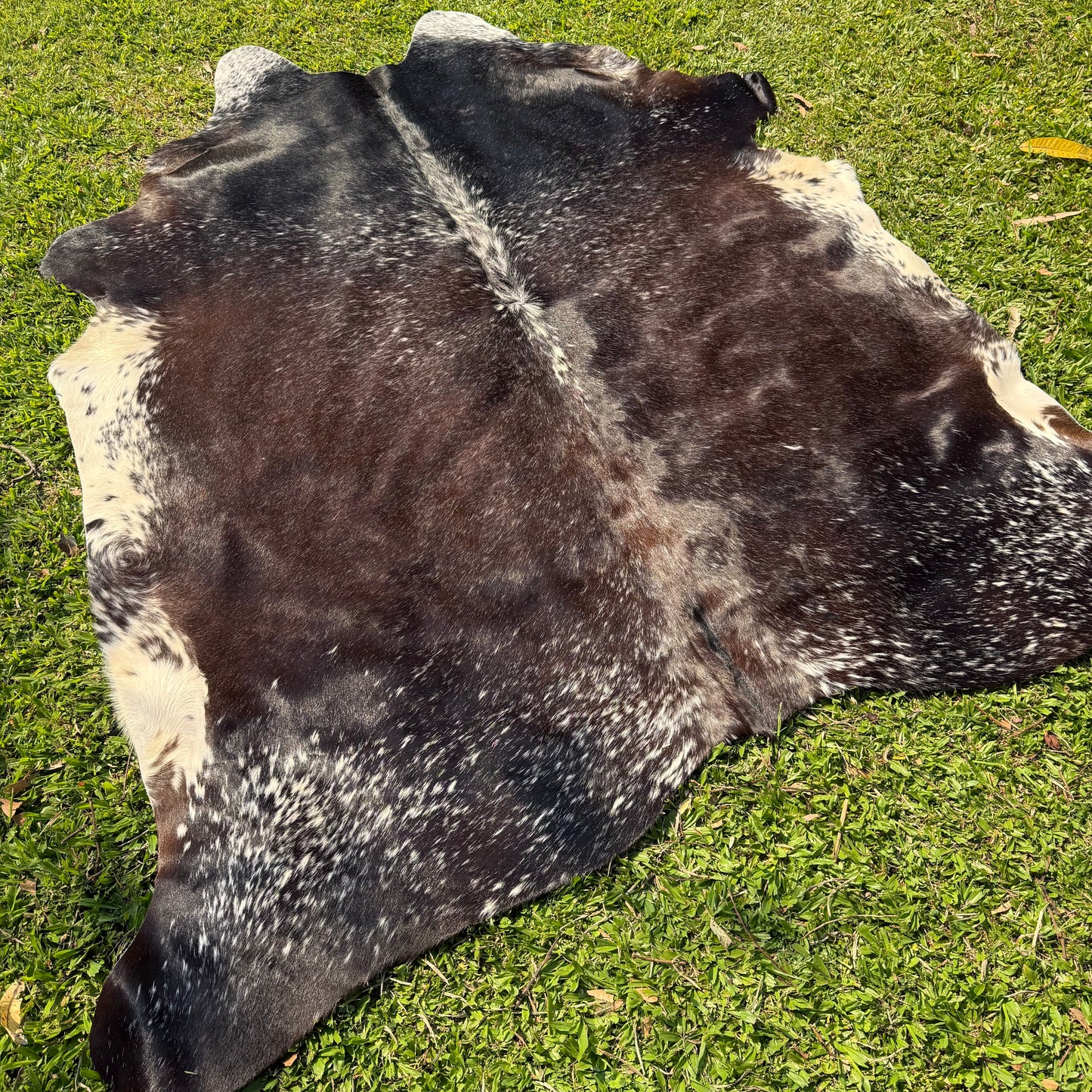 Premium Cowhide Rug 00040