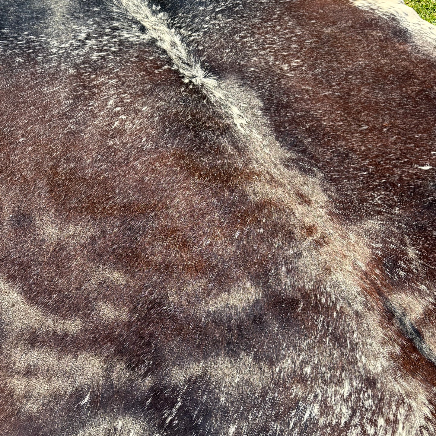 Premium Cowhide Rug 00040