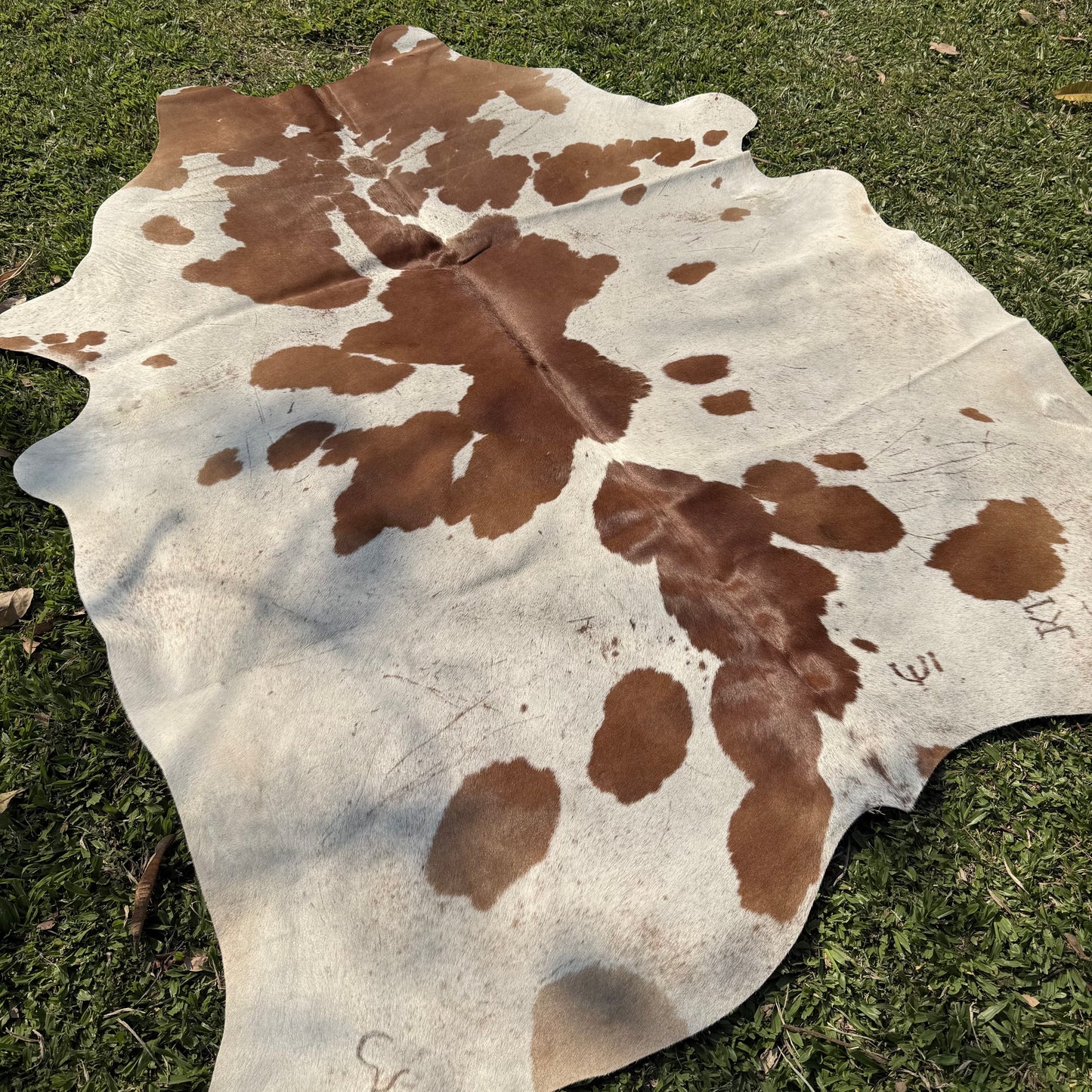 Premium Cowhide Rug 00029