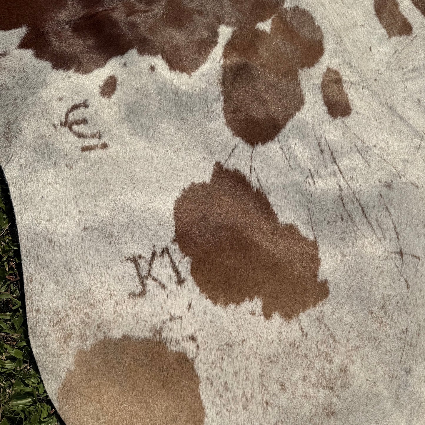 Premium Cowhide Rug 00029
