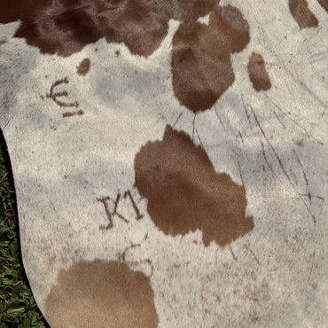 Premium Cowhide Rug 00029