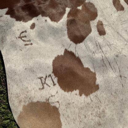 Premium Cowhide Rug 00029
