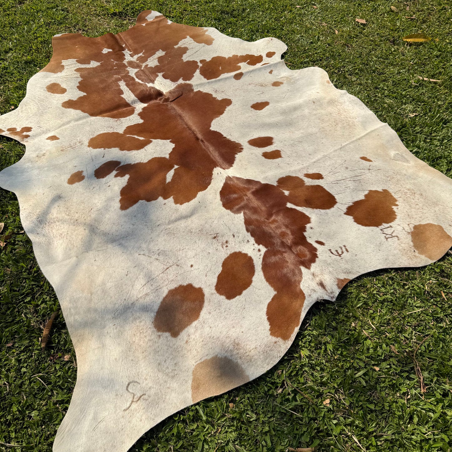 Premium Cowhide Rug 00029