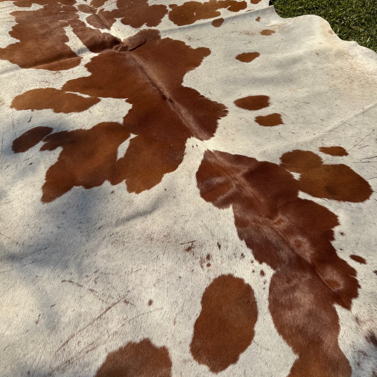 Premium Cowhide Rug 00029