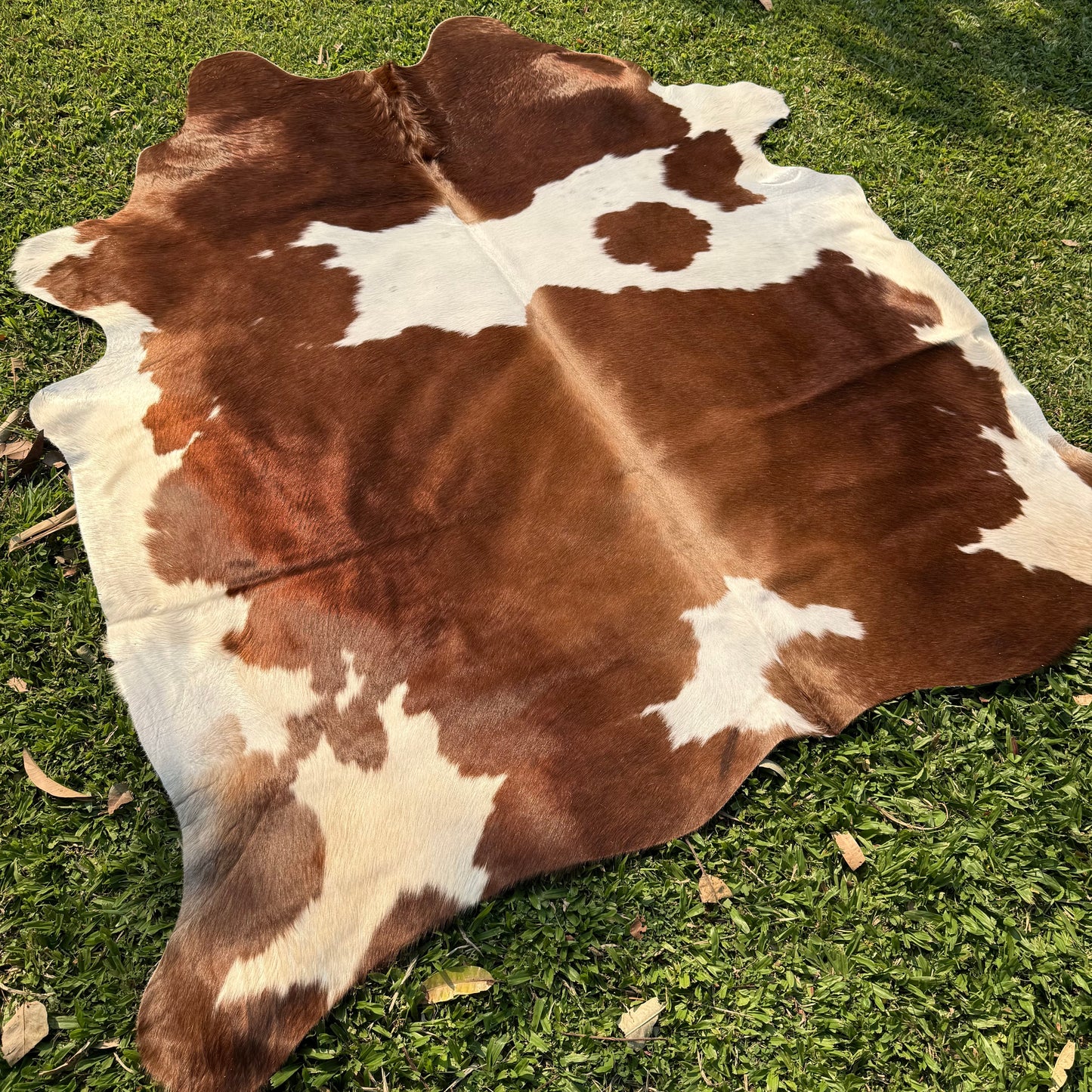 Premium Cowhide Rug 00028