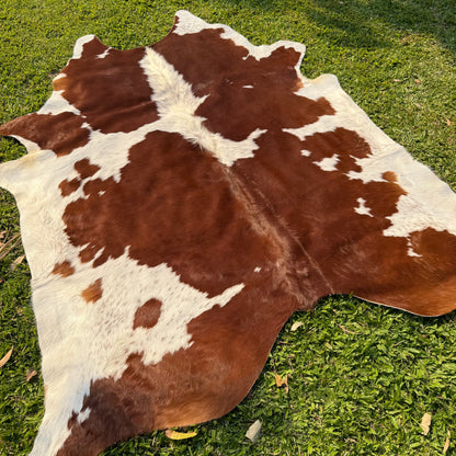 Premium Cowhide Rug 00027