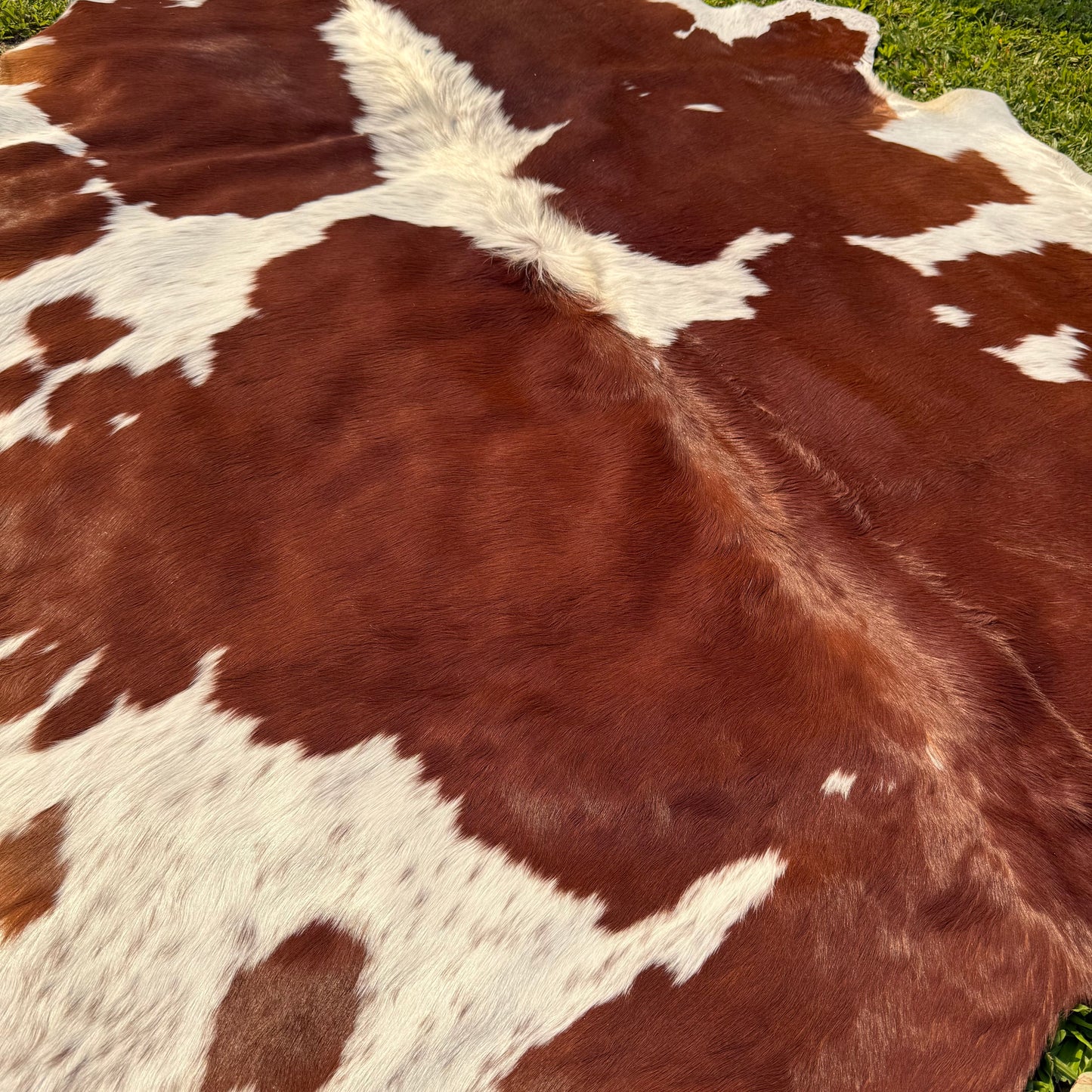 Premium Cowhide Rug 00027