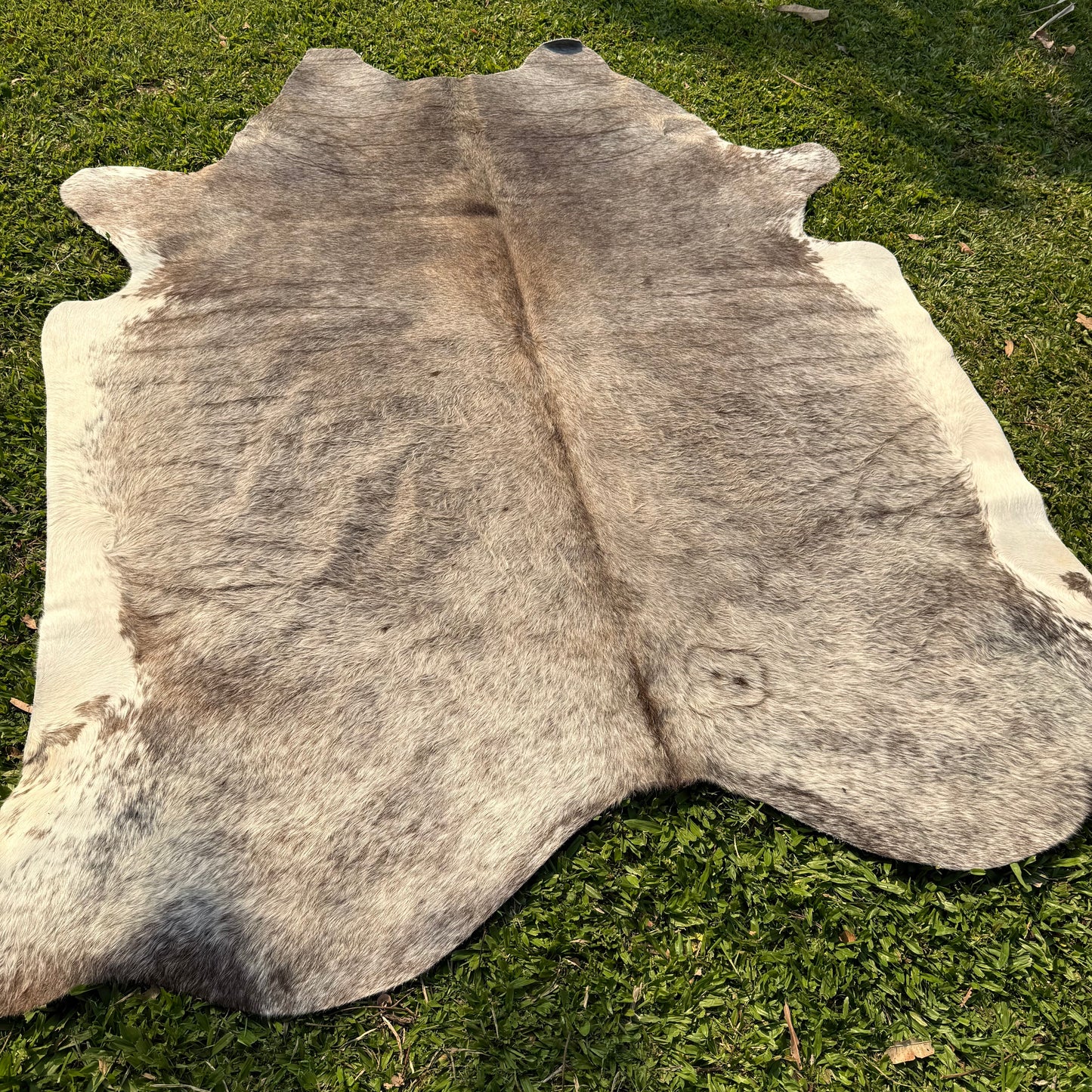Premium Cowhide Rug 00031