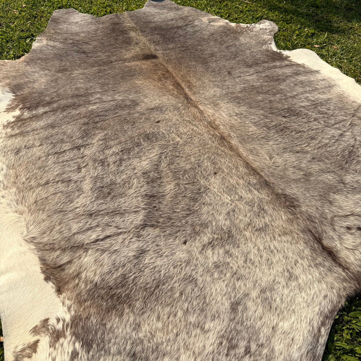 Premium Cowhide Rug 00031