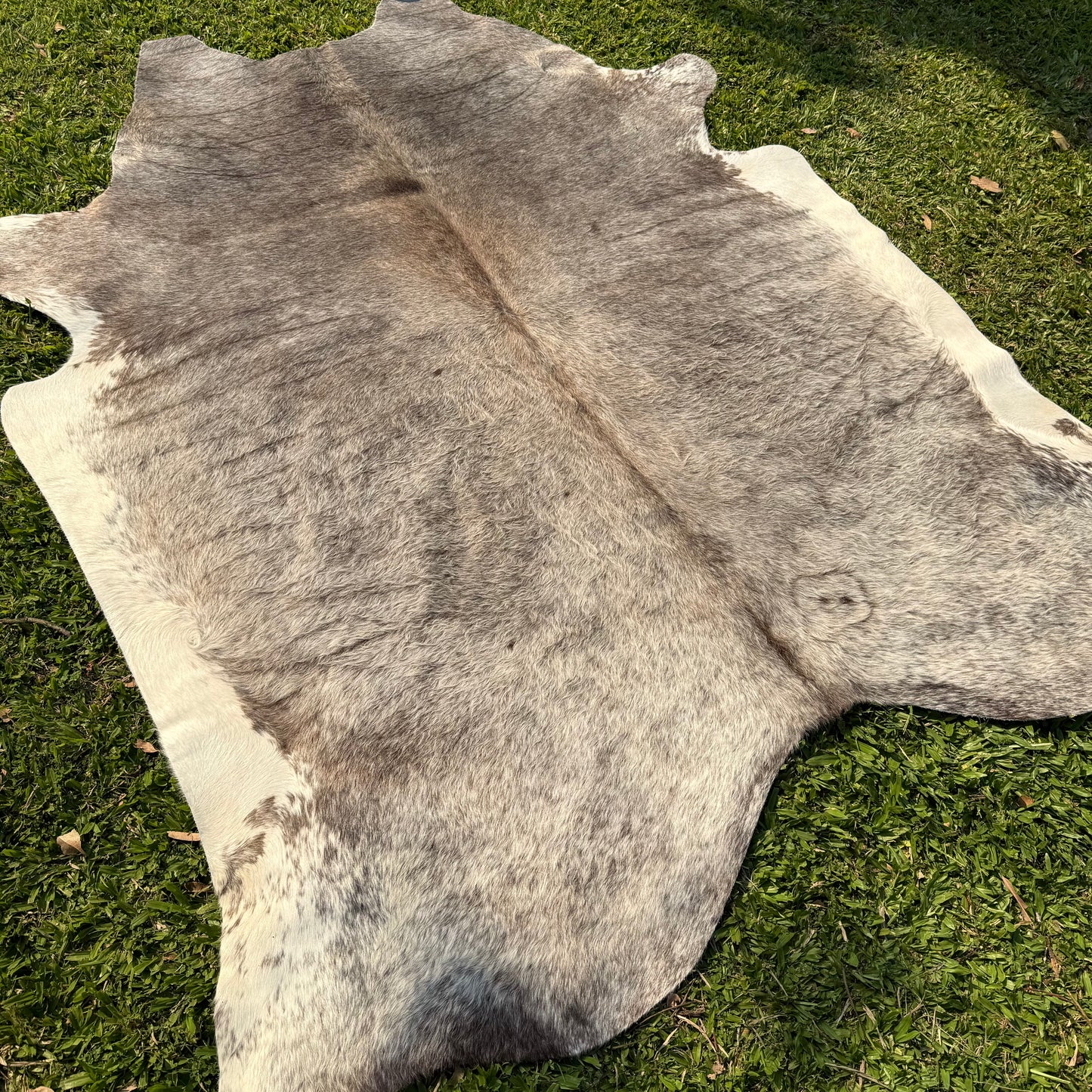 Premium Cowhide Rug 00031