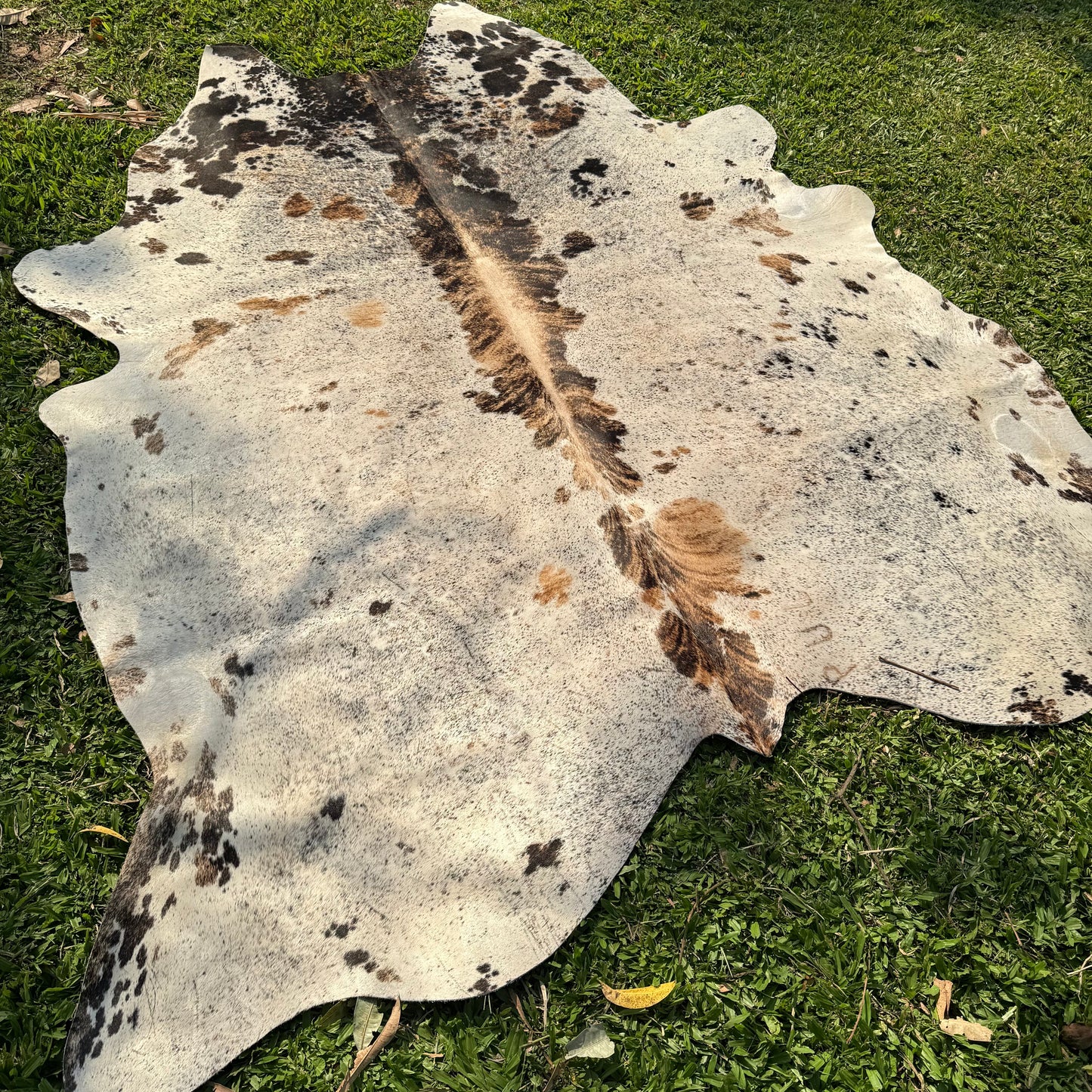 XL Premium Cowhide Rug 00046