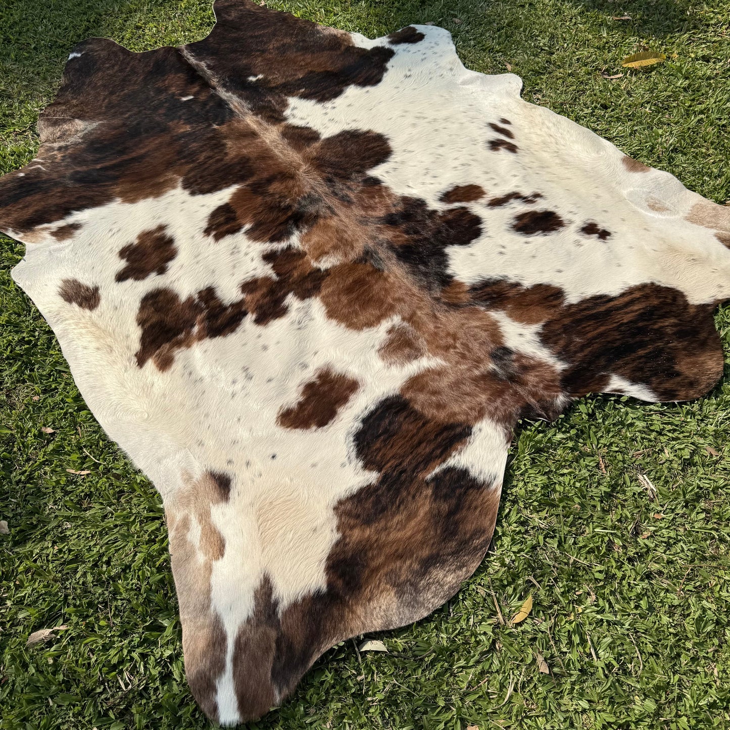 Premium Cowhide Rug 00044