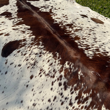 Premium Cowhide Rug 00043