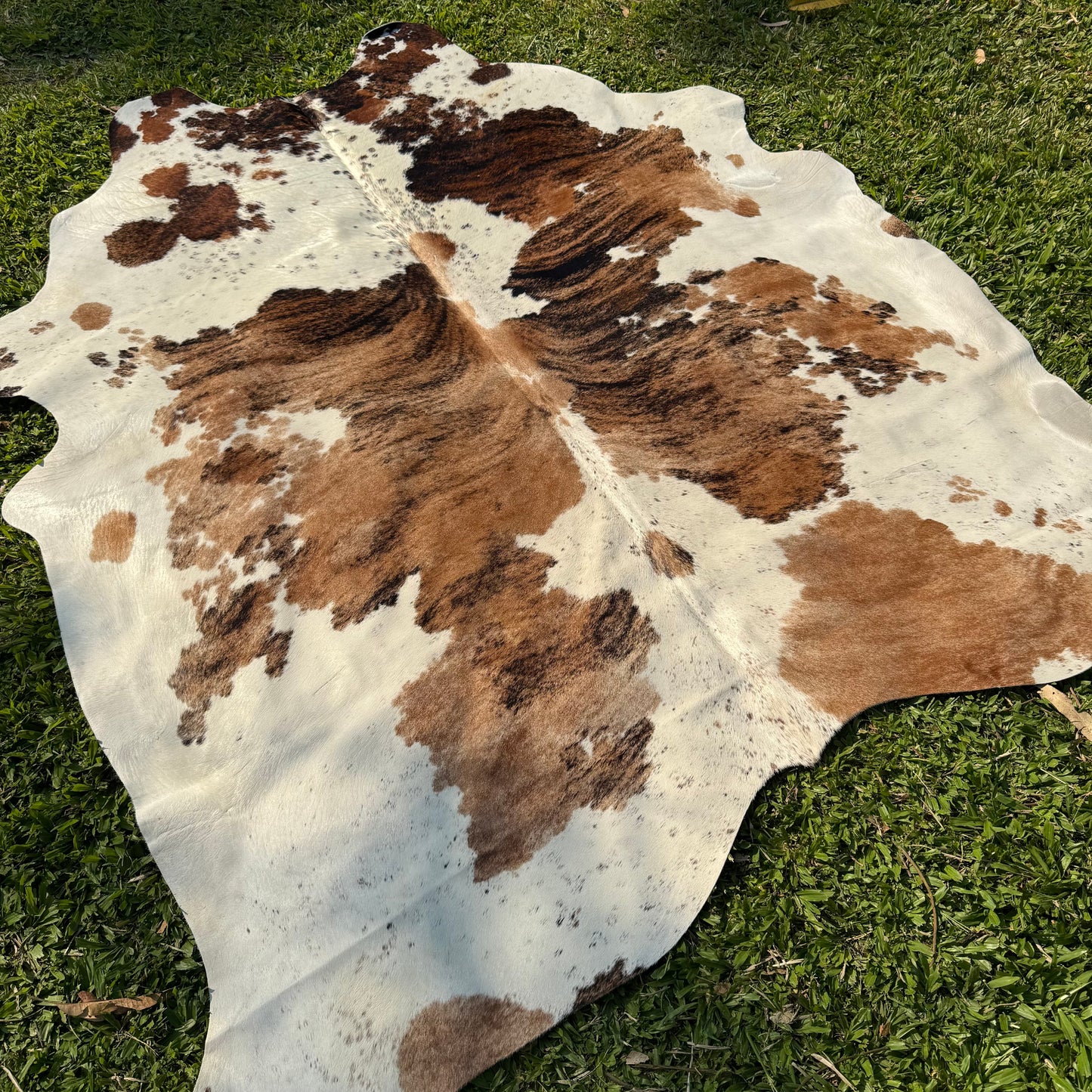 XL Premium Cowhide Rug 00042
