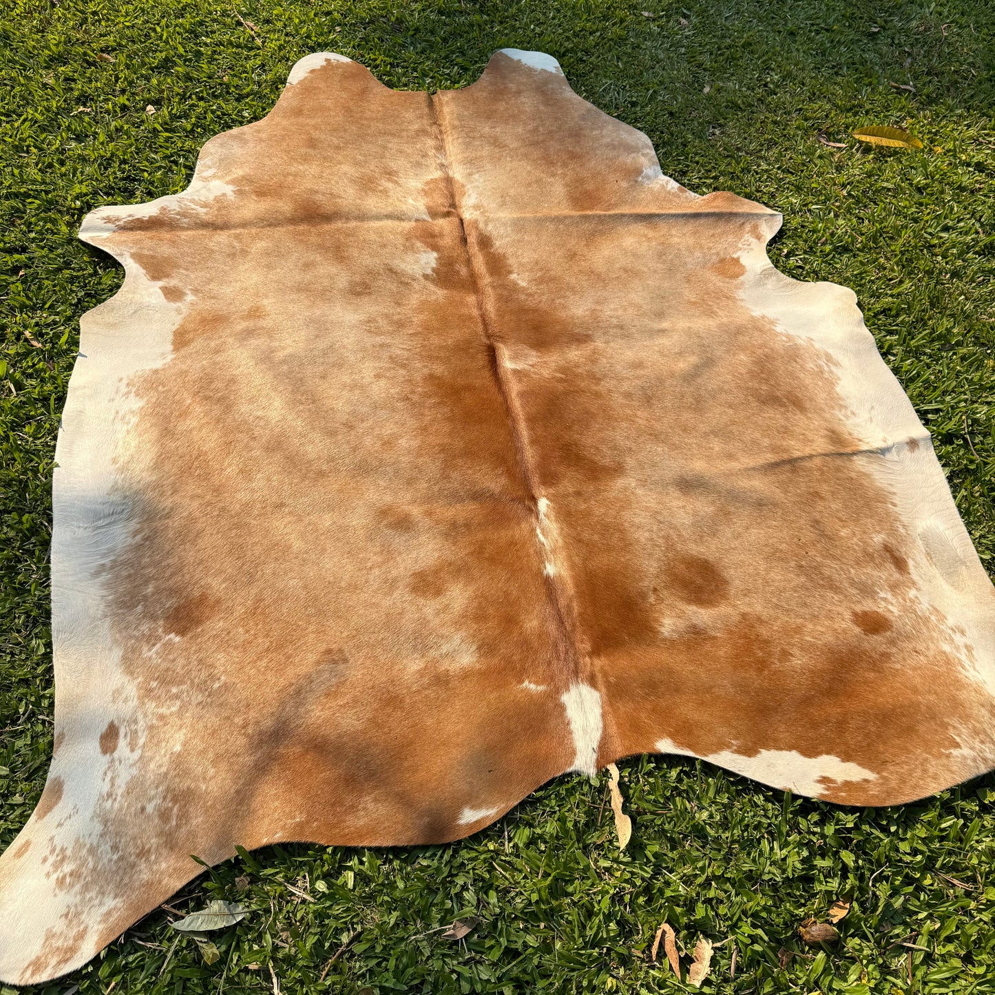 Premium Cowhide Rug 00022