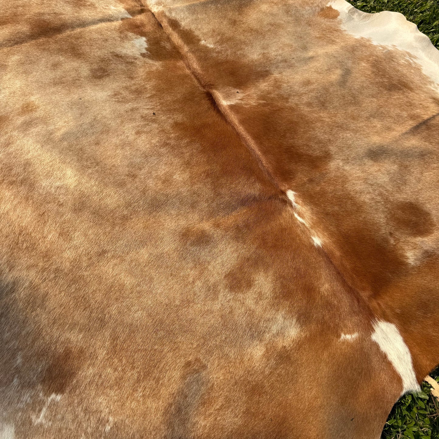 Premium Cowhide Rug 00022
