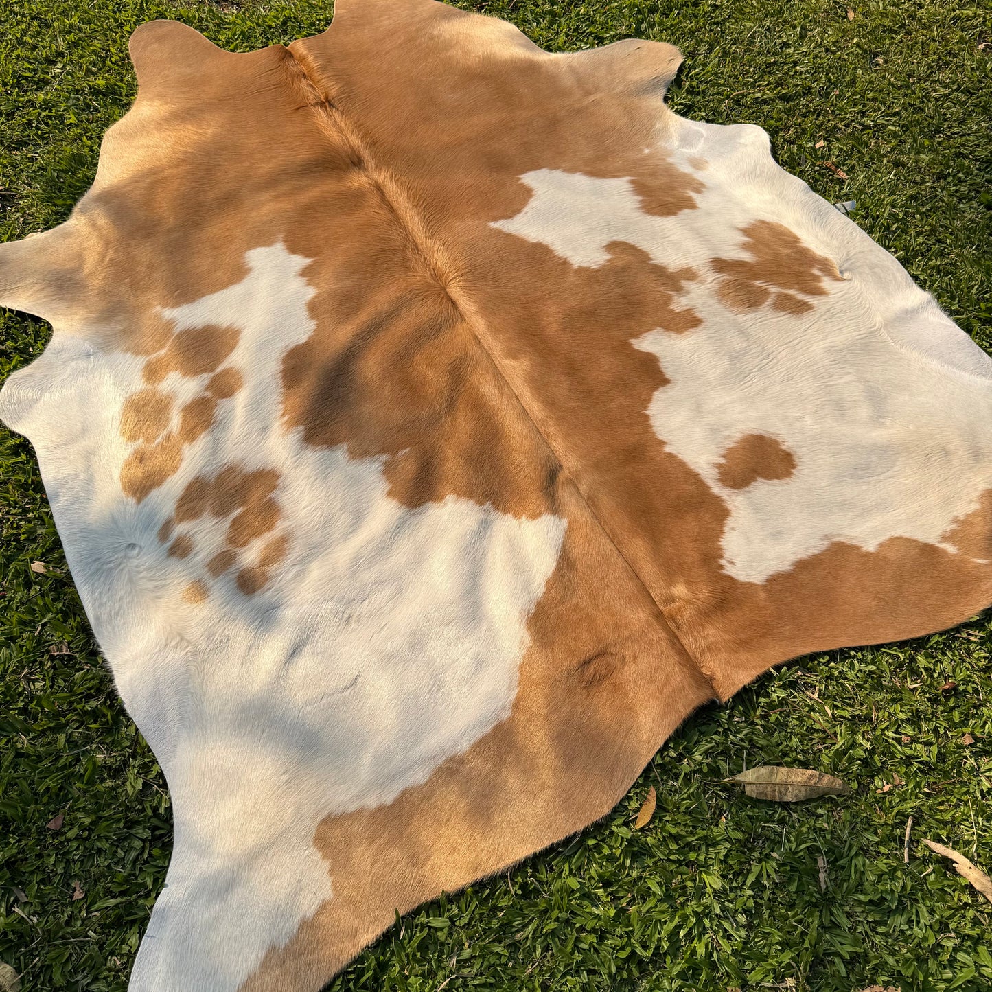 Premium Cowhide Rug 00024