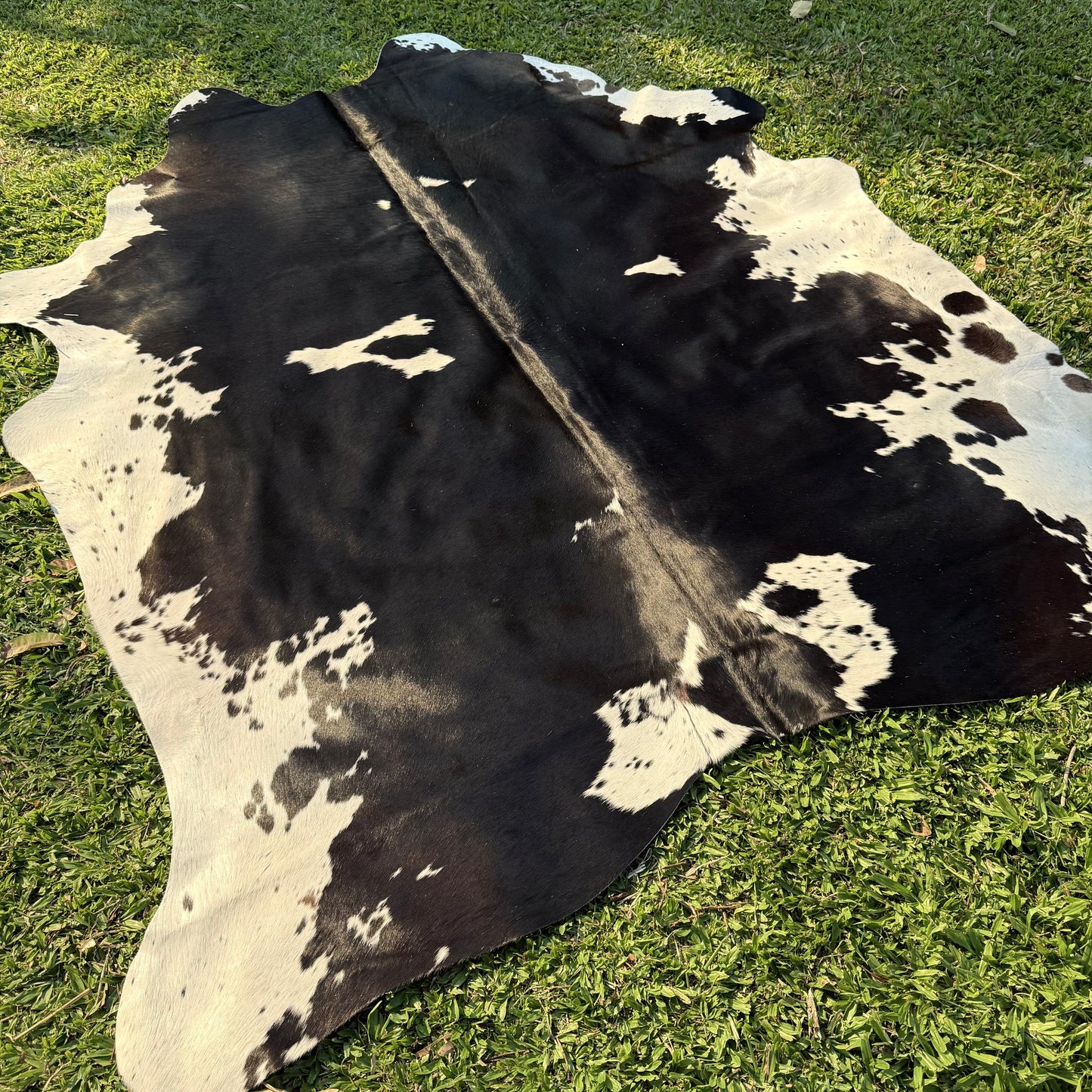 Premium Cowhide Rug 00025