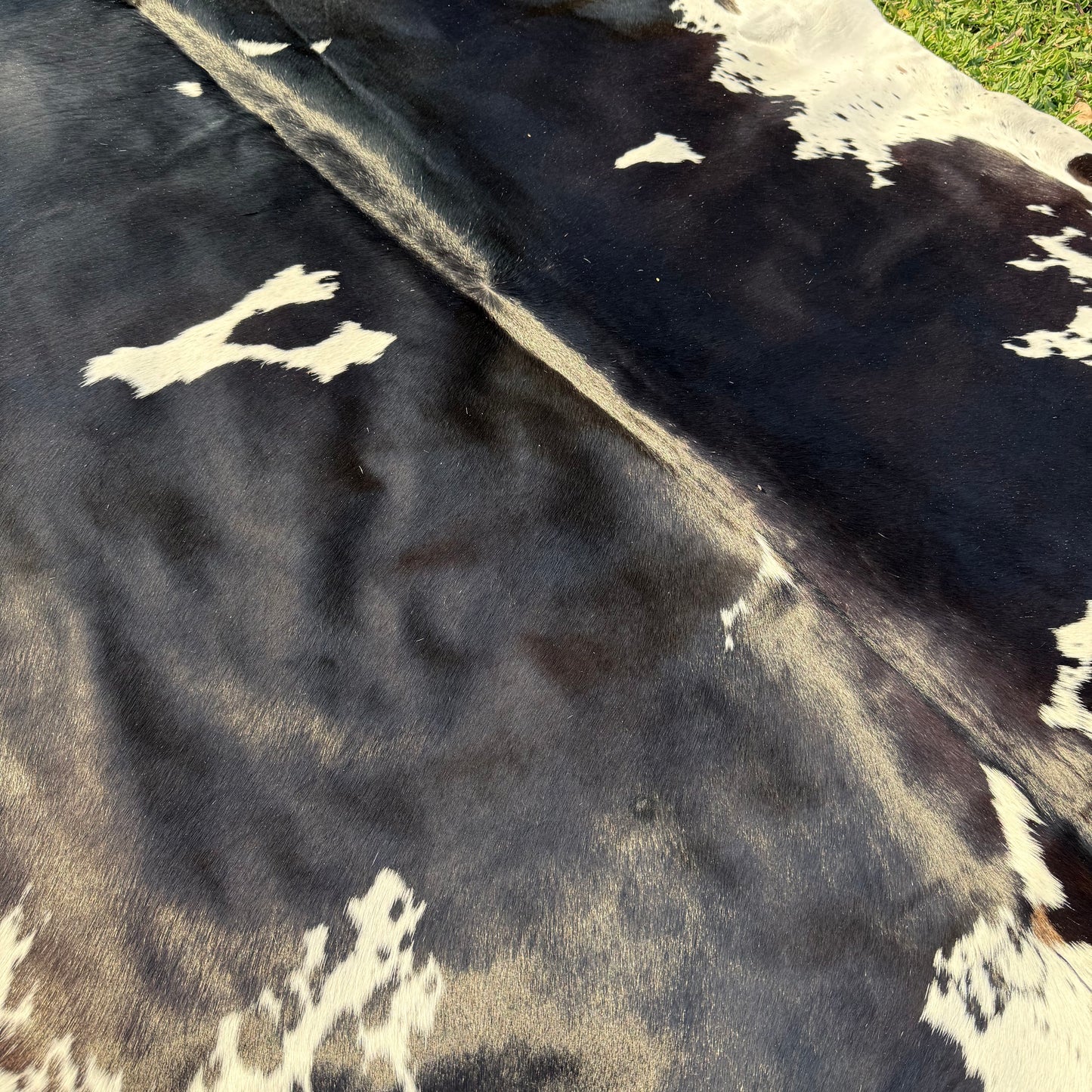 Premium Cowhide Rug 00025