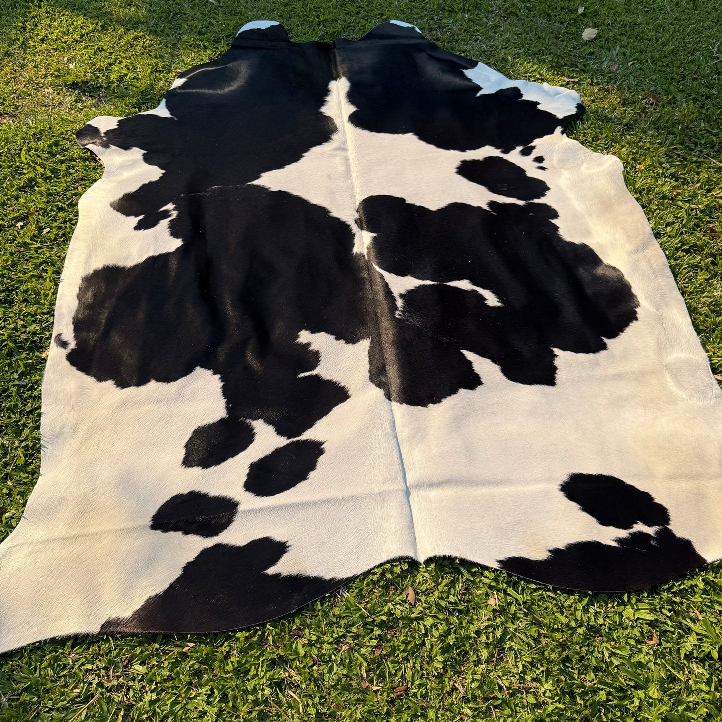 XL Premium Cowhide Rug 00026