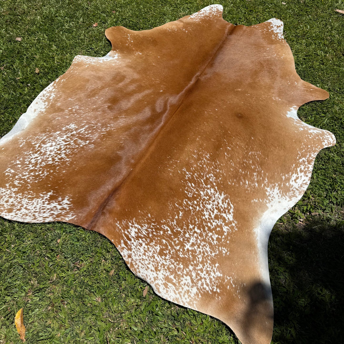 Premium Cowhide Rug 0008