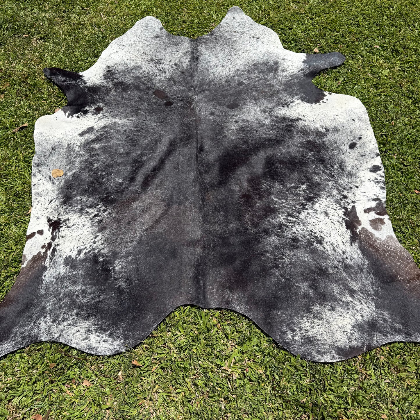 Premium Cowhide Rug 00017