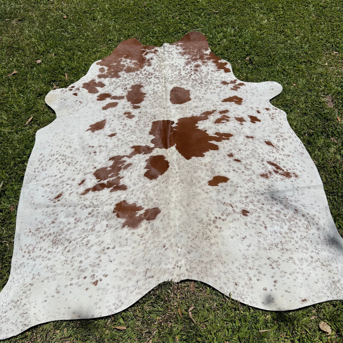 Premium Cowhide Rug 00012