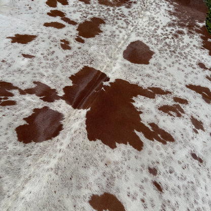 Premium Cowhide Rug 00012