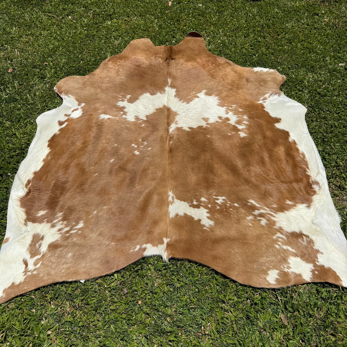 Premium Cowhide Rug 00010
